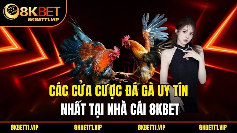 Các cửa cược đá gà uy tín nhất tại nhà cái 8KBET