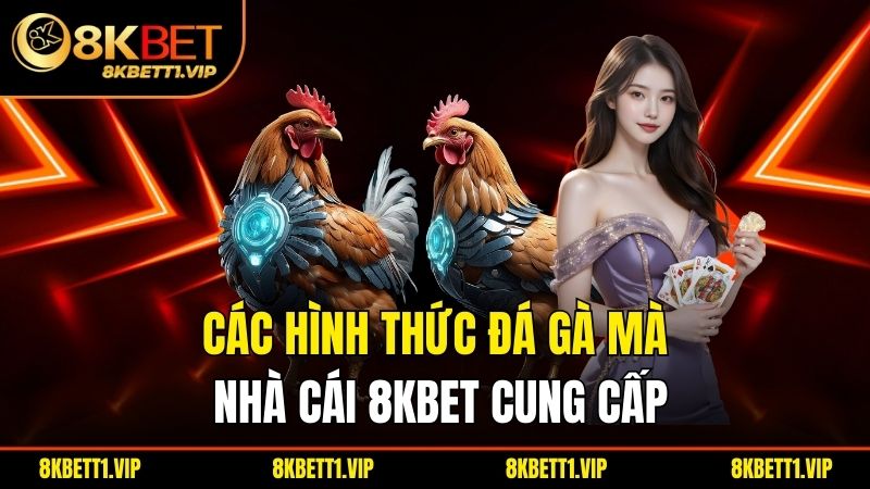 Các hình thức đá gà mà nhà cái 8KBET cung cấp