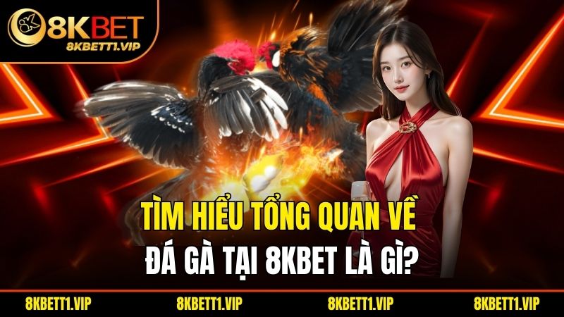 Tìm hiểu tổng quan về đá gà tại 8KBET là gì?