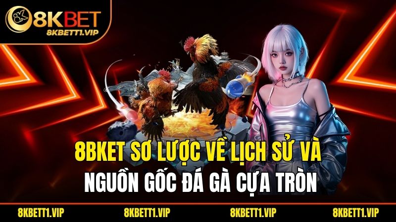 8bket sơ lược về lịch sử và nguồn gốc đá gà cựa tròn