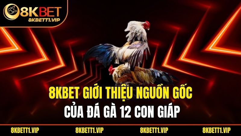 8KBET giới thiệu nguồn gốc của đá gà 12 con giáp