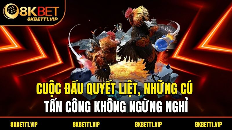 Tường thuật đá gà - Khám Phá Thế Giới Đầy Hấp Dẫn Của Môn Thể Thao Này 2 Cuộc đấu quyết liệt, những cú tấn công không ngừng nghỉ