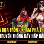 Đá Gà Cựa Tròn - Khám Phá Thế Giới Truyền Thống Đầy Hấp Dẫn 5 Đá Gà Cựa Tròn - Khám Phá Thế Giới Truyền Thống Đầy Hấp Dẫn