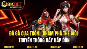 Đá Gà Cựa Tròn - Khám Phá Thế Giới Truyền Thống Đầy Hấp Dẫn