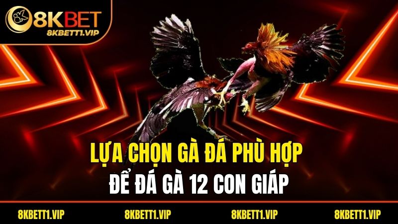 Lựa chọn gà đá phù hợp để đá gà 12 con giáp