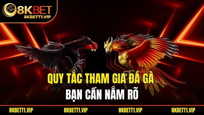 Quy tắc tham gia đá gà bạn cần nắm rõ