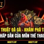 Tường thuật đá gà - Khám Phá Thế Giới Đầy Hấp Dẫn Của Môn Thể Thao Này